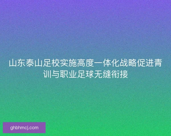 山东泰山足校实施高度一体化战略促进青训与职业足球无缝衔接