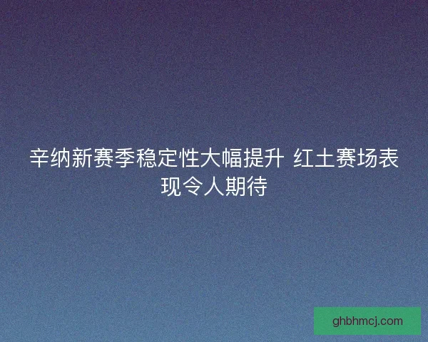 辛纳新赛季稳定性大幅提升 红土赛场表现令人期待