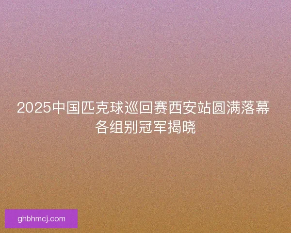 2025中国匹克球巡回赛西安站圆满落幕 各组别冠军揭晓