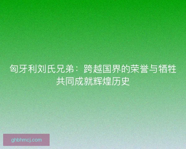 匈牙利刘氏兄弟：跨越国界的荣誉与牺牲共同成就辉煌历史